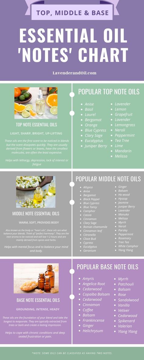 Notes Essentials, Essential Oil Perfumes Recipes, List Of Essential Oils, Essential Oil Diffuser Blends Recipes, Perfume Recipes, Essential Oils Guide, Essential Oils Herbs, Diy Perfume, Essential Oil Blends Recipes