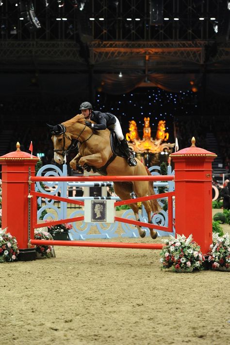 London International Horse Show, Showjumping Horse, Jumping Horses, Horse Riding Aesthetic, Horse Family, Buy A Horse, Green Event, Gorgeous Horses, Wimbledon Tennis