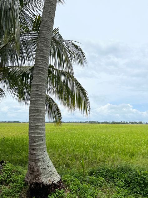 Kedah Malaysia, Random Places