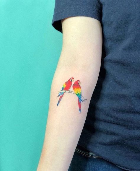 Cute Parrot Tattoo, Simple Parrot Tattoo, Scarlet Macaw Tattoo, Small Parrot Tattoo, Parrothead Tattoo, Parrots Tattoo, Conure Tattoo, Macaw Tattoo, Parrot Tattoo