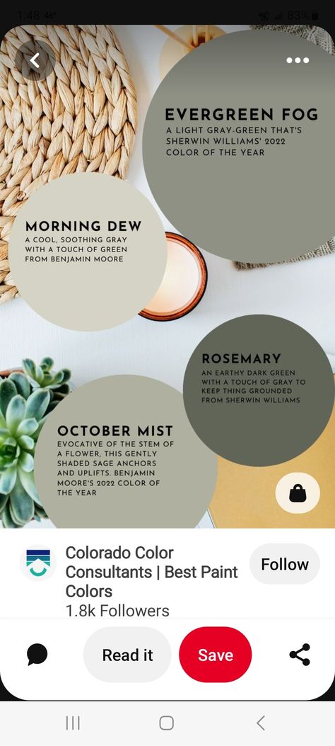 Morning Dew Sherwin Williams, Morning Dew Paint, Kitchen Paint Colours, Vintage Eclectic Home, Beach House Inspiration, Touch Of Gray, Colour Consultant, Back Room, Wallpaper Paint