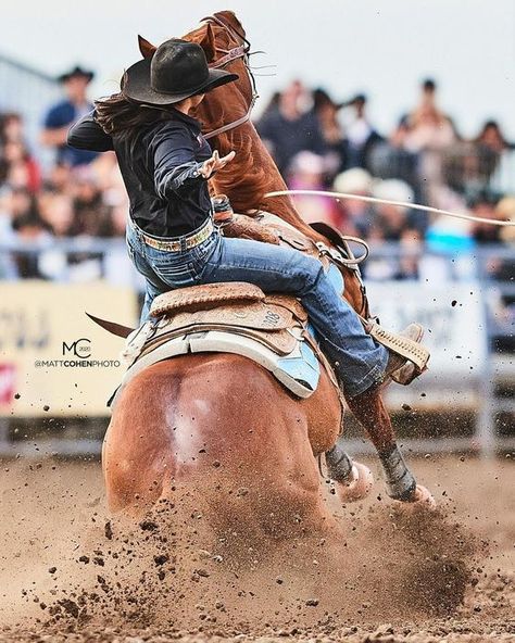 Breakaway Roping, Roping Horse, Matt Cohen, Foto Cowgirl, Bronc Riding, Rodeo Girls, Rodeo Cowboys, Cute Horse Pictures, Barrel Racing Horses