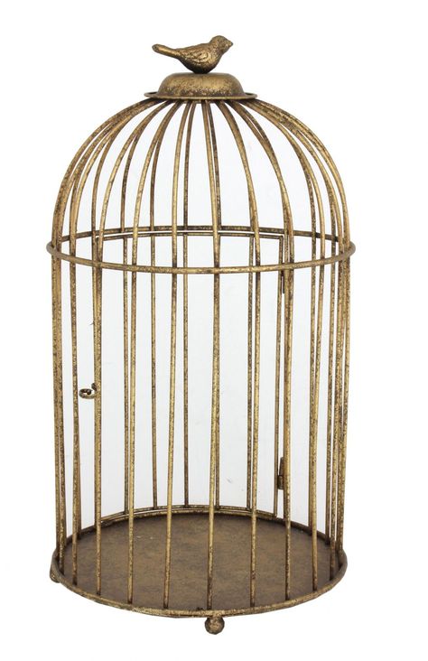 Backyard Birds Sanctuary, Antique Bird Cages, Small Bird Cage, Antique Lanterns, Brass Bird, Vintage Bird Cage, Candle Holders Wedding, Buy Candles, Bird Cages