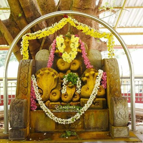 #naag #panchami #nagarapanchami #festivals #tulunad #celebration #indian #culture #incredibleindia #gaggaraaround16holyrituals Nagara Panchami, Naag Panchami, Indian Culture, Hoop Wreath, Fall Wreath, Quick Saves, Home Decor, Home Décor