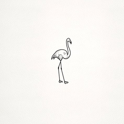 Tiny Flamingo Tattoo, Flamingo Icon, Tattoo Flamingo, Tiny Illustrations, Icon Ig, Flamingo Tattoo, Minimal Illustration, Single Line Tattoo, Line Tattoo