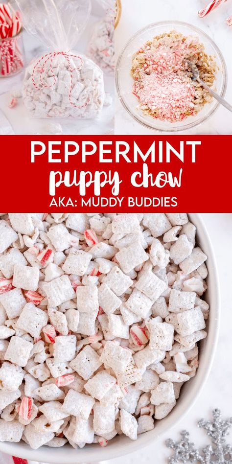 Peppermint Puppy Chow, Kid Friendly Holiday Recipes, Holiday Puppy Chow, Homemade Puppy Chow, Easy Holiday Snacks, Krispie Treats Christmas, Christmas Chocolate Desserts, Puppy Chow Christmas, Puppy Chow Recipes