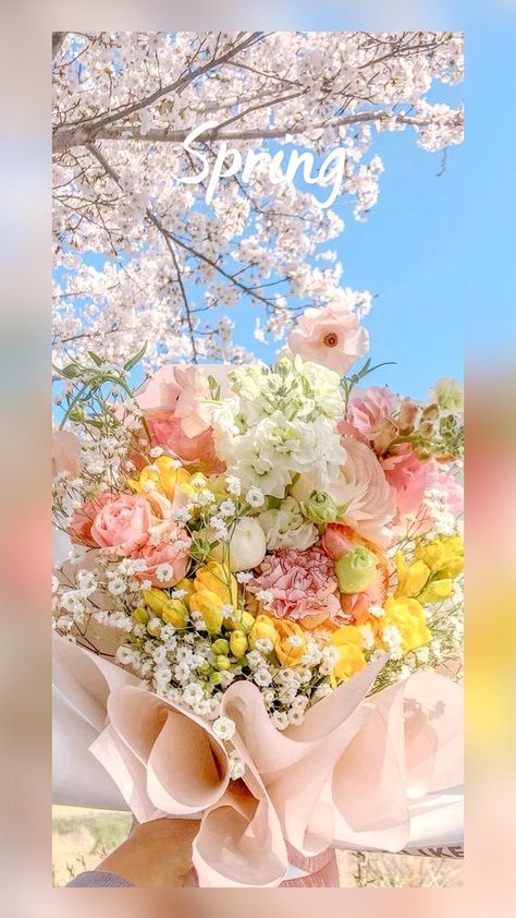 Boquette Flowers, Nothing But Flowers, Spring Wallpaper, Flowers Beautiful, Flower Therapy, Beautiful Bouquet Of Flowers, Luxury Flowers, Spring Aesthetic, Bouquet Of Flowers