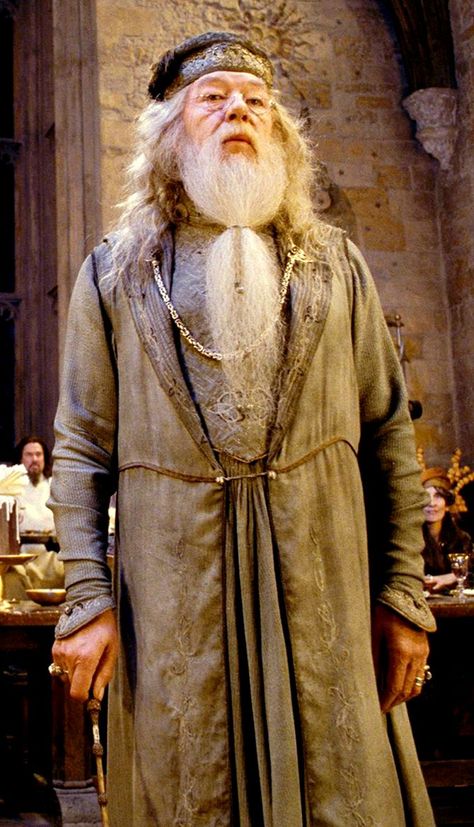 Professor Albus Percival Wulfric Brian Dumbledore (Michael Gambon) - Harry Potter Dumbledore Costume, Professor Dumbledore, Harry Potter Professors, Harry Potter Dumbledore, Harry Potter Quizzes, Harry Potter Cosplay, Harry Potter Halloween, Harry Potter Costume, Albus Dumbledore