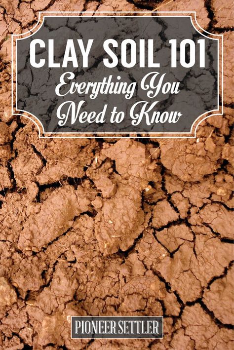 Amend Clay Soil, Amending Clay Soil, Soil Recipe, Vegetable Garden Soil, Organic Vegetable Garden, Recipe Simple, Smitten Kitchen, Clay Soil, Organic Gardening Tips