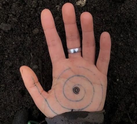 Spiral Palm Tattoo, Spiral Accessories, Spiral Tattoo, Spirals In Nature, Spiral Tattoos, Round Of Applause, Stood Up, Everything Is Connected, Life Is Strange