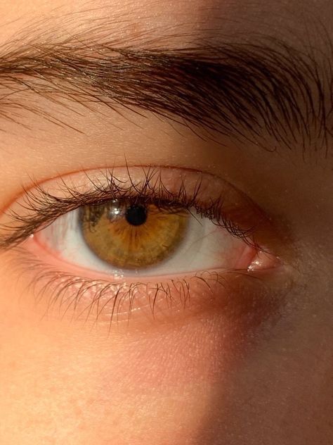 Pretty Eyes Color, Honey Eyes, Hazel Green Eyes, Beautiful Eyes Color, Eye Close Up, Amber Eyes, Eye Painting, Eye Photography, Aesthetic Eyes