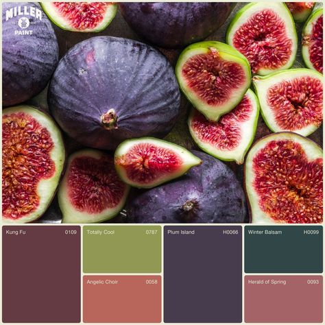 Inspired by the rich hues of Fig Fruit, our September palette is a symphony of deep purples and luscious pinks. ⁠ ⁠ Meet Kung Fu | 0109, our moody dark red color of the month. Classic tones like Plum Island | H0066 and Winter Balsam | H0099 join it. Soft pinks like Angelic Choir | 0058 and Herald of Spring | 0093 and a pop of Totally Cool | 0787 lime green complete this enchanting collection. ⁠ ⁠ #colorpalette #septembercolors #figfruitinspired Autumn Paint Colors, September Palette, Dark Purple Color Palette, Berry Color Palette, Plum Color Palette, Champagne Color Palette, Color Of The Month, Enchanted Forest Coloring, Plum Island