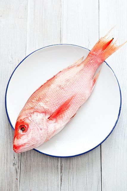 Red snapper Seafood Photography, Fish Food Photography, Grilled Red Snapper, Easy Fish Dinners, Seafood Lasagna, Grilled Dinner, Seafood Market, Fish Recipes Healthy, Baked Salmon Recipes