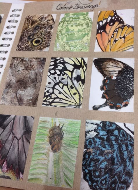 Observational studies using different materials,pencil ink water colour charcoal etc Fashion Design Ideas, Sketchbook Fashion, Sketchbook Layout, Textiles Sketchbook, Natural Form Art, Art Alevel, Gcse Art Sketchbook, A Level Art Sketchbook, Arte Grunge