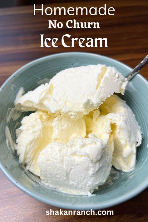 Homemade Ice Cream - EASY, No Churn Recipe - Shakan Ranch Make Ice Cream At Home, Easy Ice Cream Recipe Homemade, Blender Ice Cream, Best Homemade Ice Cream, Easy Homemade Ice Cream, Custard Ice Cream, Easy Ice Cream Recipe, Homemade Custard, Recipes With Whipping Cream