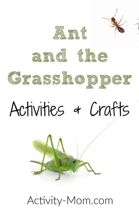 Grasshopper Activities, Grasshopper Crafts, The Ant And The Grasshopper, Sponge Crafts, Ants Activities, Ant Crafts, Videos To Watch, Story Sequencing, Bug Crafts