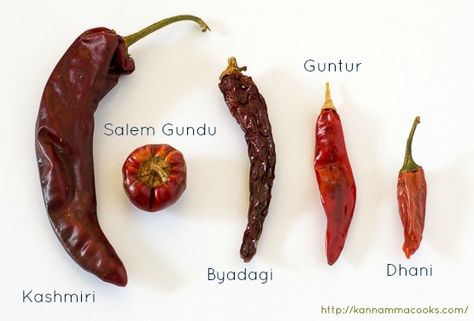 Indian-Chillies-Varieties Rasam Rice, Kashmiri Chilli, Food Knowledge, Ayurvedic Diet, Chile Peppers, Arabian Sea, Roast Recipe, Chile Pepper, Gujarati Recipes