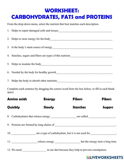 Carbohydrates, Fats & Proteins worksheet Physical Education Worksheets, Nutrition Worksheets, Science Subject, Food Lessons, Life Skills Class, Energy Pyramid, Health Teacher, School Nutrition, Nutrition Classes