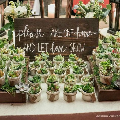 Sustainable Wedding Trends For 2023 Dress Trends 2023, Ethical Wedding Dress, Plant Wedding Favors, Succulent Theme, Wedding Plants, Succulent Wedding Favors, Bridal Shower Inspo, Let Love Grow, Ethical Wedding