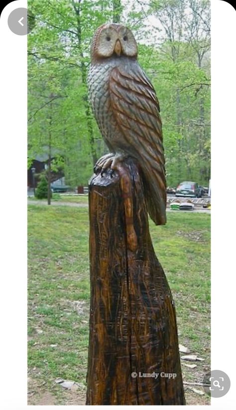 Tree Trunk Ideas, Carved Tree Stump, Chainsaw Sculpture, Trunk Ideas, Chainsaw Wood Carving, Owl Tree, Wooden Owl, Bird Carving, Tree Of Life Tattoo