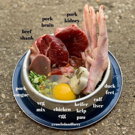 Raw Dog Food Raw Meat Dog Diet, Raw Meat Dog Food Recipes, Raw Fed Dogs Diet, Raw Fed Dogs, Barf Dog Food Recipes, Raw Dog Food Recipes For Large Dogs, Dog Raw Food Diet For Beginners, Dog Food Toppers Homemade, Raw Dog Food Recipes For Beginners