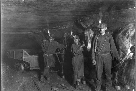 The mountains of southern West Virginia are riddled with coal—and bullets Child Worker, West Virginia History, Lewis Hine, Coal Miners, Coal Mining, Library Of Congress, Sports Illustrated, West Virginia, Norfolk