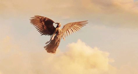 maleficent wings - Pesquisa Google Maleficent Flying Gif, Maleficent Gif, Wings Gif, Young Maleficent, Film Maleficent, Maleficent Wings, Angel Gif, Maleficent Art, Maleficent 2014