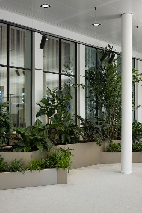 Piramal Aranya, Natural Lighting Design, Green Installation, Green Architect, Interior Design Plants, Green Gardens, Garden Privacy, Green Office, Indoor Window