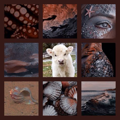 Cow Moodboard, Far Aesthetic, Animal Moodboard, Adopt Idea, Mermaid Aesthetic, Mood Board Inspiration, Creating Characters, Scene Design, Mood Board Design