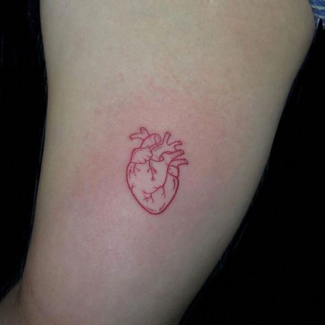 Ignorant Style Tattoo, Anatomical Heart Tattoo, Palm Tattoos, Cat Tattoos, Wolf Tattoo Design, Red Ink Tattoos, Initial Tattoo, Tiny Tattoo, Heart Tattoo Designs