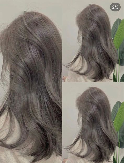 Grey Korean Hair, Beige Grey Hair Color, Brown Ash Grey Hair, Cool Grey Hair Color, Deep Ash Grey Hair, Ash Taupe Gray Hair Color, Light Ash Gray Hair Color, Milky Ash Brown Hair, Milk Tea Grey Brown Hair