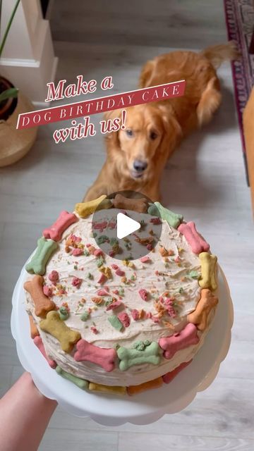 Dog Birthday Cake Simple, Homemade Dog Cake, Yogurt And Peanut Butter, Pumpkin Applesauce, Milk Frosting, Dog Cake Recipes, Mini Cake Recipe, Easy Cakes To Make, Easy Dog Treat Recipes