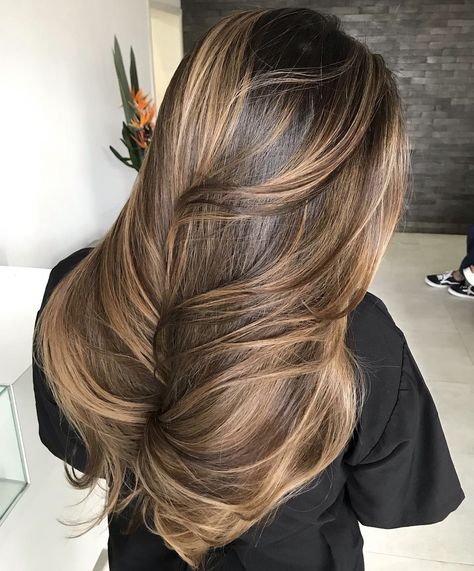 Blonde Hights With Brown Hair, Honey Highlights Brown Hair, Honey Brown Balayage On Black Hair, Light Brown Hair With Dark Highlights, Sunkissed Highlights Brown Hair, Brown Sugar Brunette, Balayage Hair Highlights, Sunkissed Hair Brunette, Sunkissed Hair