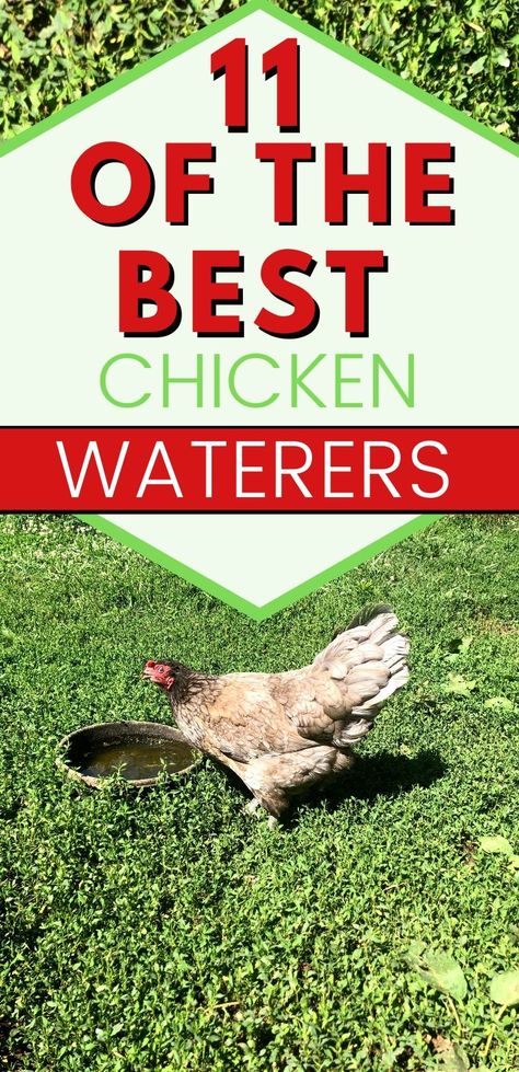 Chicken Coop Feed And Water Ideas, Water For Chickens Diy, Watering Ideas For Chickens, Chicken Waterers Ideas, Chicken Watering Ideas, Chicken Water System Winter, Water Fountain For Chickens, Water For Chicken Coop, Water Chickens Ideas