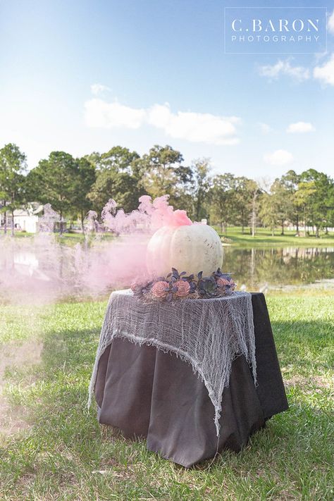 Disney Halloween Gender Reveal, Couldren Gender Reveal, Spooky Gender Reveal Decorations, Unique Gender Reveal Themes Fall, Gender Reveal Ideas For October, Halloween Baby Reveal Ideas, Boo Or Ghoul Gender Reveal, Dark Gender Reveal, Gender Reveal Ideas Fall Theme