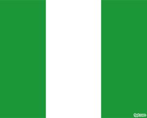 Flag of Nigeria is a nice PowerPoint template with Nigeria flag design as background Nysc Nigeria Logo, Flag Of Nigeria, African Flags, World Cup Logo, Nigerian Flag, Dear Prudence, World Cup 2010, Nigeria Flag, Independence Day Celebration