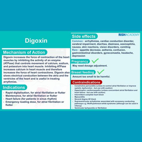 Digoxin Nursing, Lpn School, Nursing Pharmacology, Lpn Schools, Gastrointestinal Disorders, Pharmacology Nursing, Nursing School Survival, Nursing School Notes, Heart Muscle