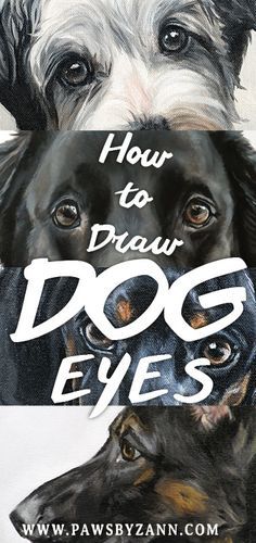 How To Paint Animal Eyes, How To Paint Dog Eyes Acrylic, Dog Eyes Painting, Dogs Eyes Drawing, How To Paint Your Dog, Painting Dog Eyes, How To Paint Dogs Acrylic, Drawing Dog Eyes, How To Draw Animal Eyes