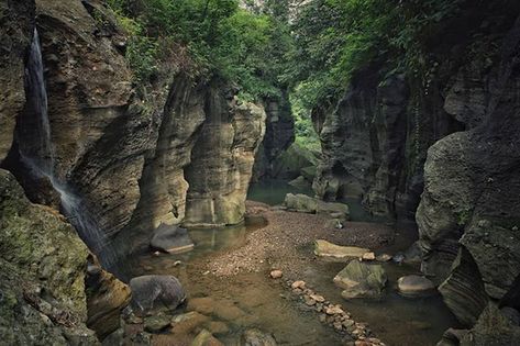 Forest Aesthetic Landscape, Cliff Forest, Forest Cliff, Landscape Jungle, Old Growth Forest, Rock Nature, Camping With Cats, Forest Camp, Jungle House