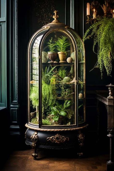 Terrarium Ideas | Dagmara Mach Cool Terrarium Ideas, Beautiful Terrariums Diy, Harry Potter Terrarium Diy, Gothic Terrarium Ideas, Terrarium Decor Ideas, Plant Terrarium Table, Wardian Case Terrariums, Moss Garden Indoor, Apothecary Terrarium