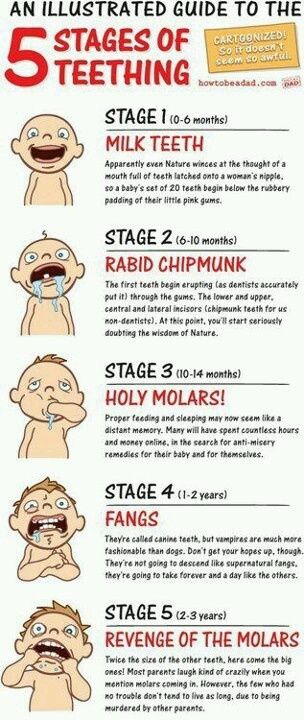Feb 28, 2016 - There are just so many little things to keep track of when you're expecting. Just remember: "There's a chart for that." Teething Chart, Baby Food Chart, Raspberry Leaf Tea, Kids Fever, Pregnancy Info, Newborn Hacks, Pumping Moms, Fantastic Baby, Baby Teething
