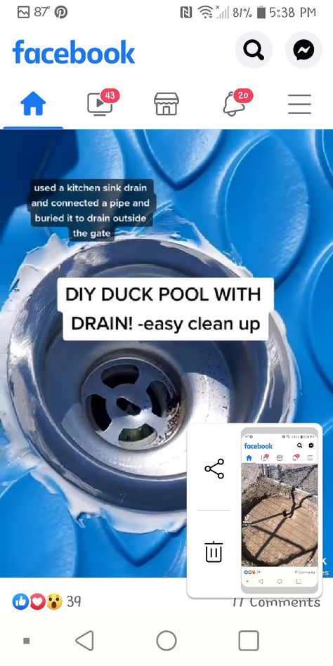 Quack Shack Ideas, Duck Pool With Drain, Duck House Diy, Quack Shack, Duck Pool, Duck House Plans, Chicken Pens, Duck Care, Duck Pens