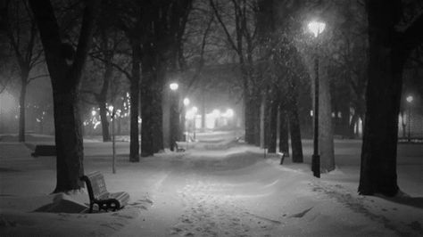 Instagram the obligatory photo of a snowy, beautiful campus. | The 25 Stages Of Having A Snow Day In College Winter Love Quotes, Snow Gif, Snowy Night, Relaxing Gif, Night Gif, Banner Gif, Street Lights, Winter Love, Christmas Gif