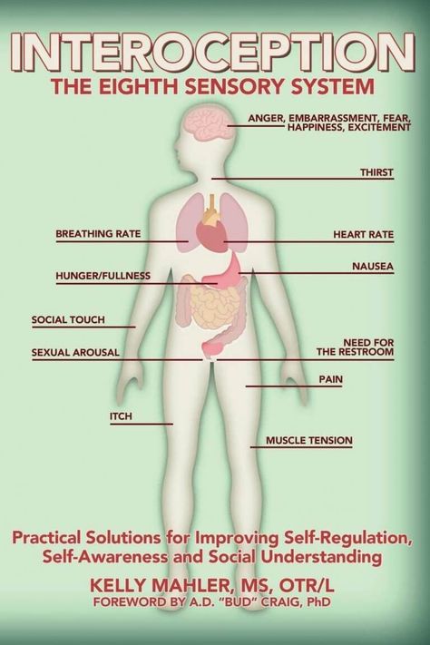 Vestibular System, Sensory System, Understanding Emotions, Positive Mental Health, Sensory Issues, Sensory Processing Disorder, Body Awareness, Kids Sensory, Sensory Processing