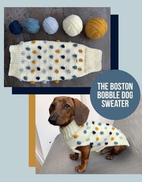 Dachshund Dog Sweaters Free Pattern, Knitting For Dogs, Knit Dog Sweater Free Pattern, Knit Dog Sweater Pattern Free Easy, Knitted Dog Sweater Pattern Free, Dog Knitting Patterns Free, Dog Sweater Crochet Pattern Free, Dog Knitting Patterns, Dog Jumper Pattern