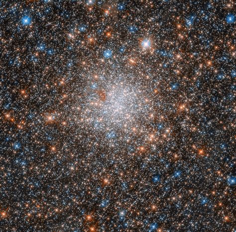 Hubble Spies Glittering Star Cluster in Nearby Galaxy Follow @GalaxyCase if you love Image of the day by NASA #imageoftheday Environment Photography, Globular Cluster, Telescope Images, Star Clusters, Astronomy Pictures, Nasa Images, Hubble Telescope, Hubble Images, Stars In The Sky