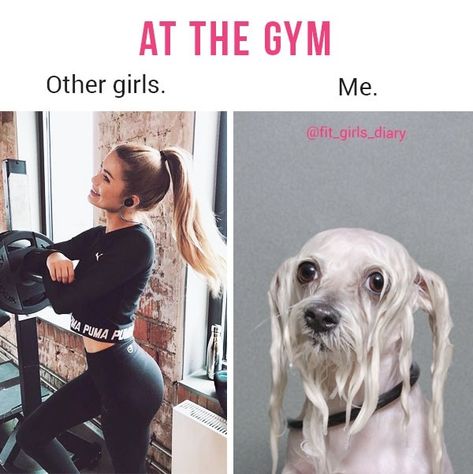 Funny Fitness Memes, Workout Memes Funny, Gym Memes Funny, Fitness Memes, Fitness Humor, Funny Fitness, Fitness Style, Heath And Fitness, Gym Quote