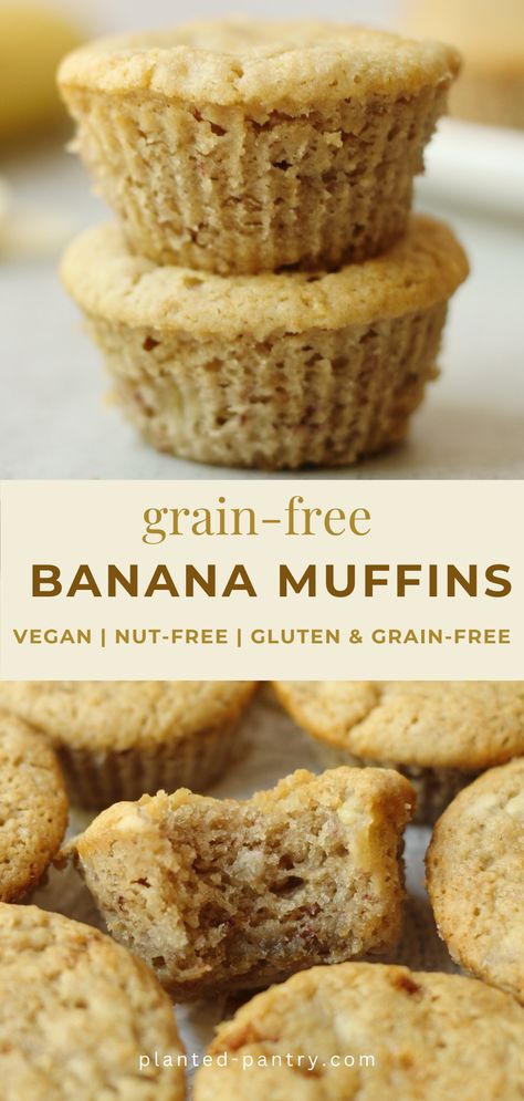 These easy Grain Free Banana Bread Muffins are made with cassava flour and other basic pantry ingredients. They're gluten-free, vegan, and nut-free, making them an excellent allergy-friendly option. Cassava Flour Cookies, Nut Free Breakfast, Cranberry Treats, Vegan Banana Bread Easy, Vegan Banana Bread Recipe, Banana Walnut Bread, Flours Banana Bread, Muffins Vegan, Nut Free Recipes