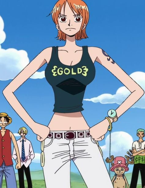 Nami Outfits, One Piece Logo, Pirate Outfit, Batman And Catwoman, Dancers Outfit, Outfit Png, One Piece Nami, Nami One Piece, Pokemon Plush