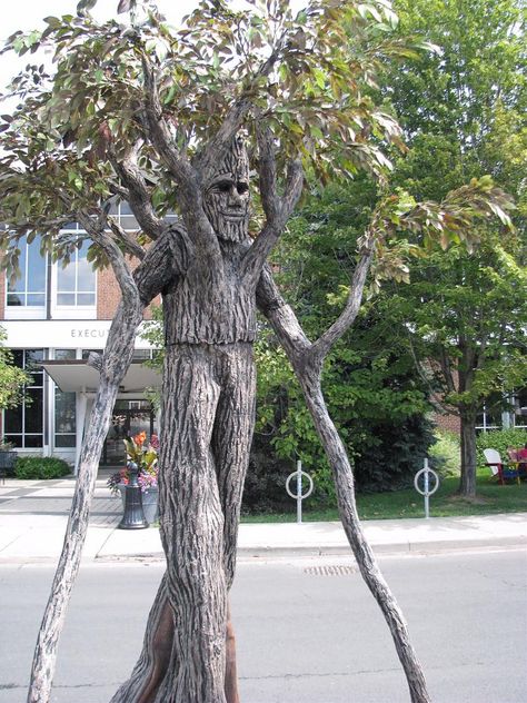 Walking Tree Costume Forest Costume, Pirate Halloween Decorations, Puppet Costume, Larp Props, Cardboard Costume, Tree Costume, Haunted Tree, Tree Man, Living Statue